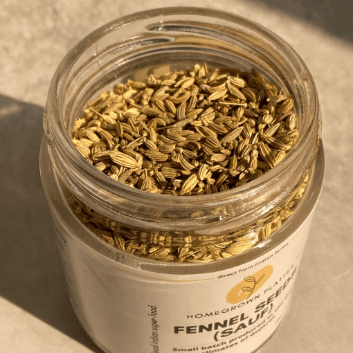 Fennel seeds for masala chai