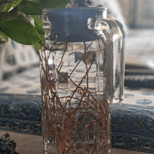 A container with vetiver infused water